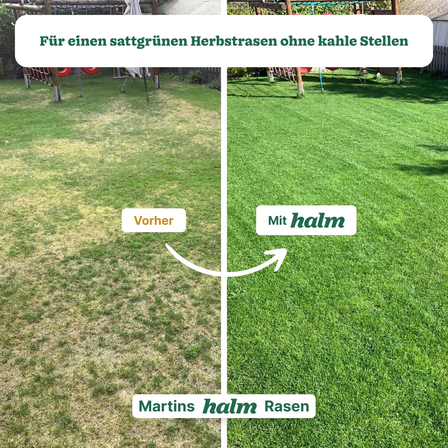 Herbst-Bundle "Reparieren & Wachsen Bio"