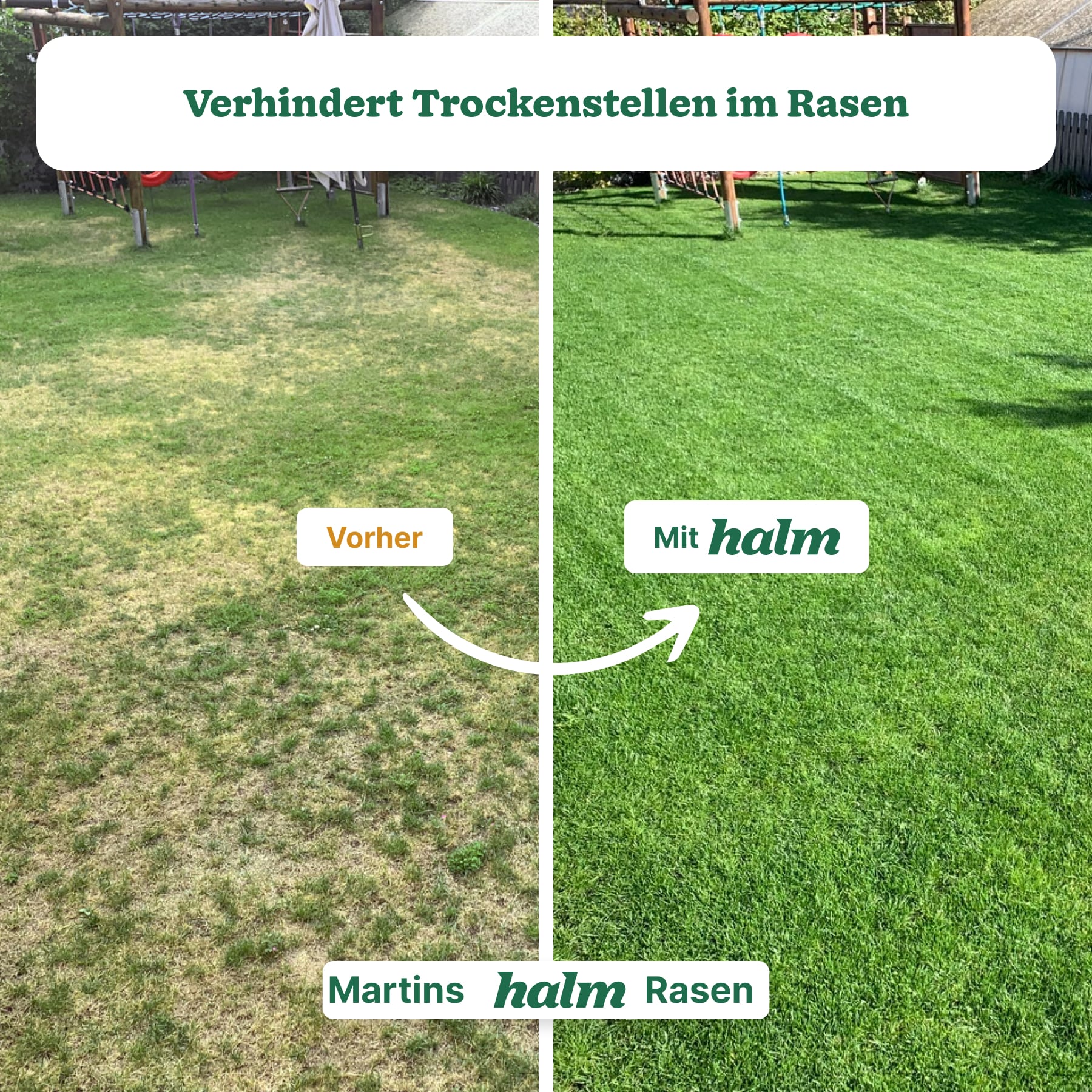 Wetting Agent