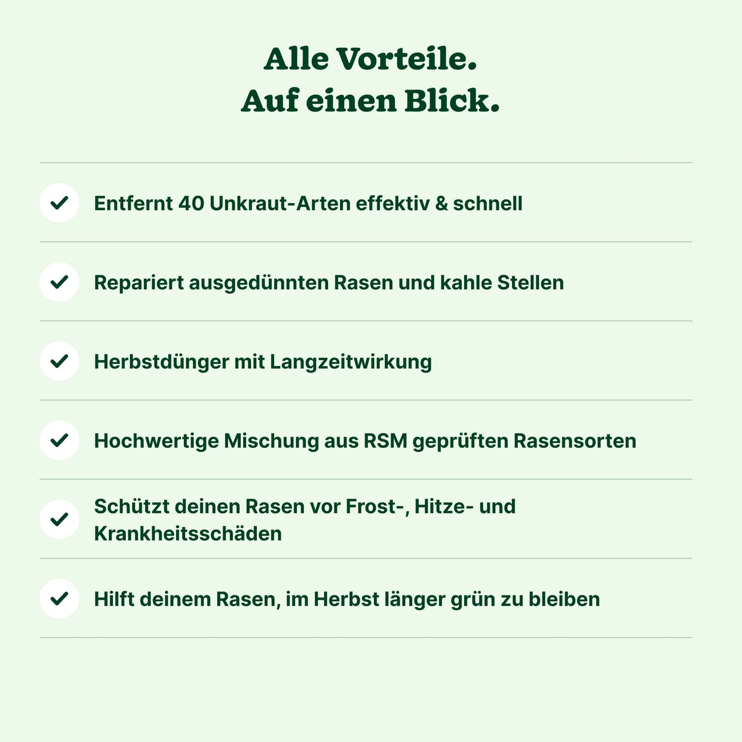 Herbst-Bundle "Moosfrei"