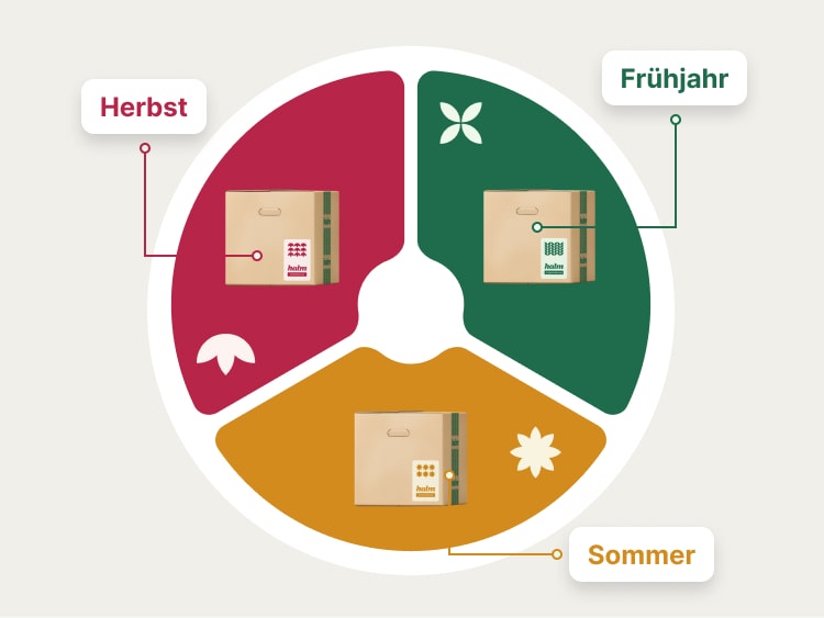 Halms Unterstützung