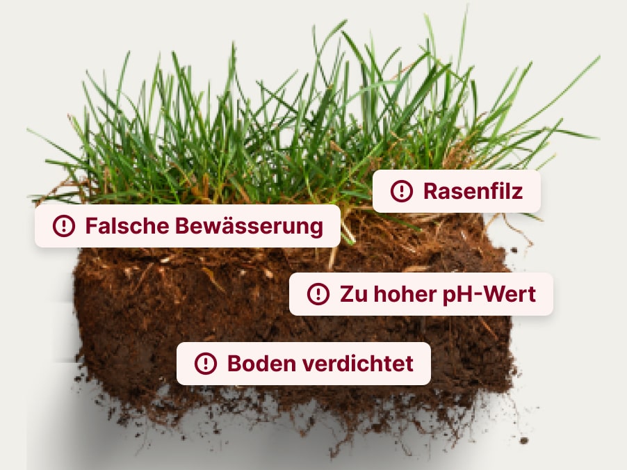 Ursachen
