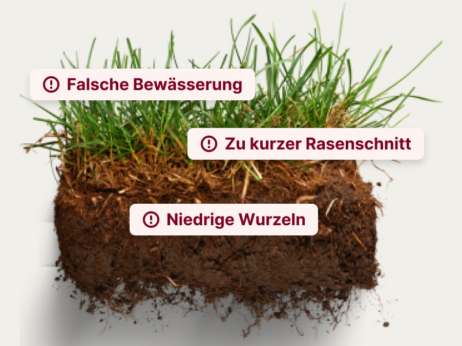 Ursachen