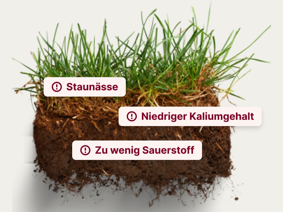 Ursachen