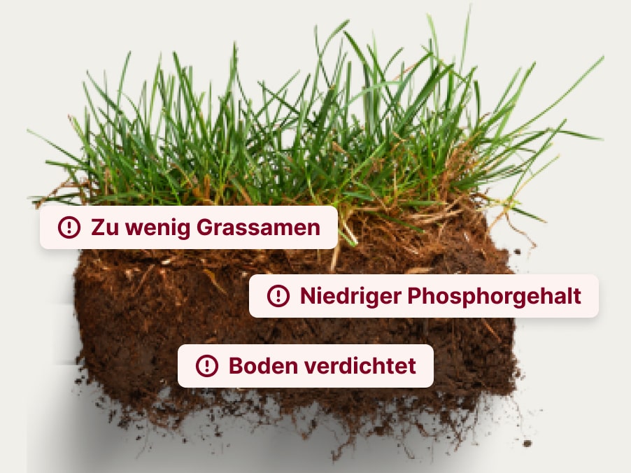 Ursachen