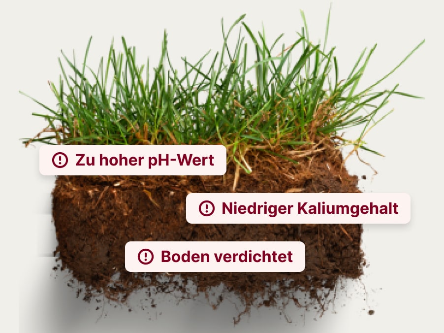 Ursachen