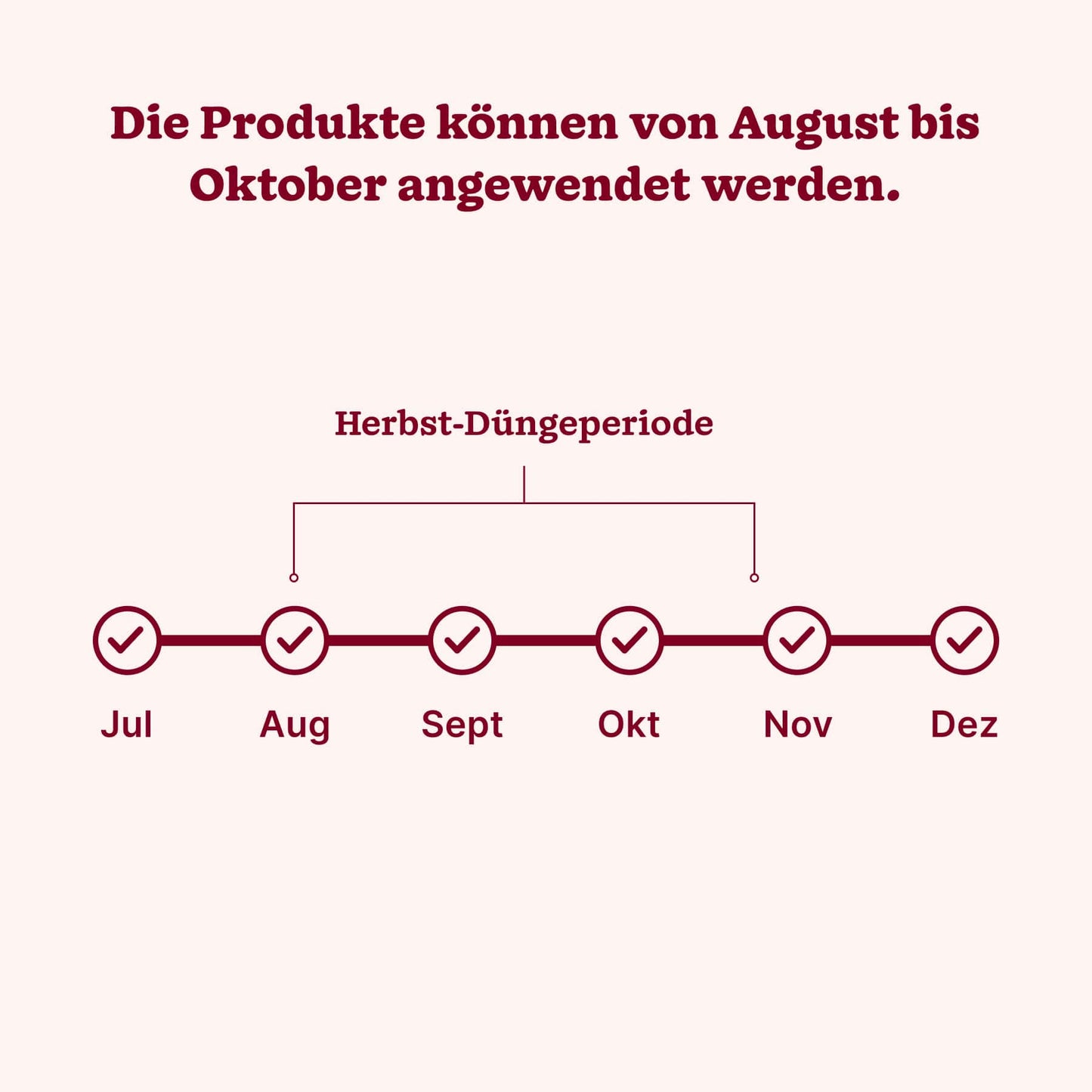 Herbst-Bundle "Moosfrei"