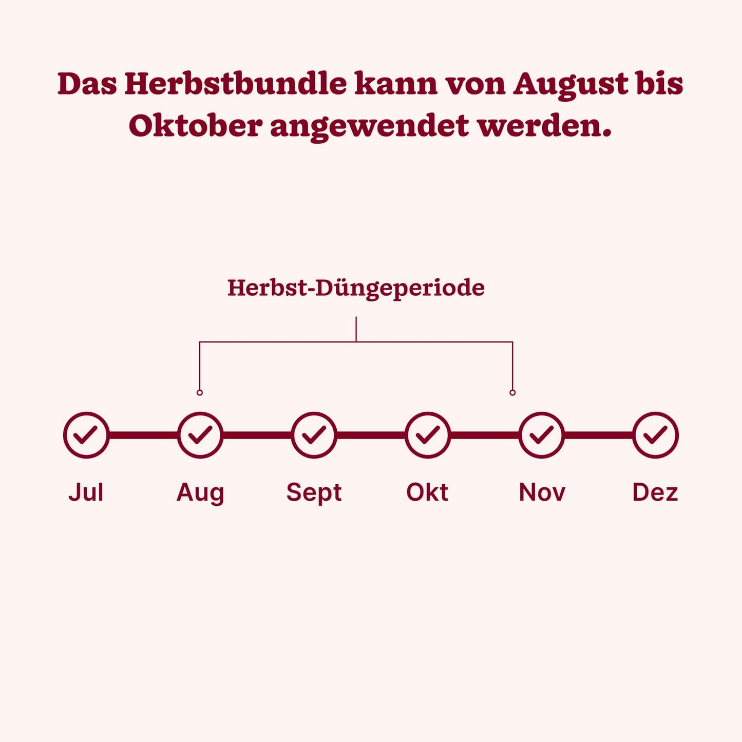 Herbst-Bundle "Reparieren & Wachsen Bio"