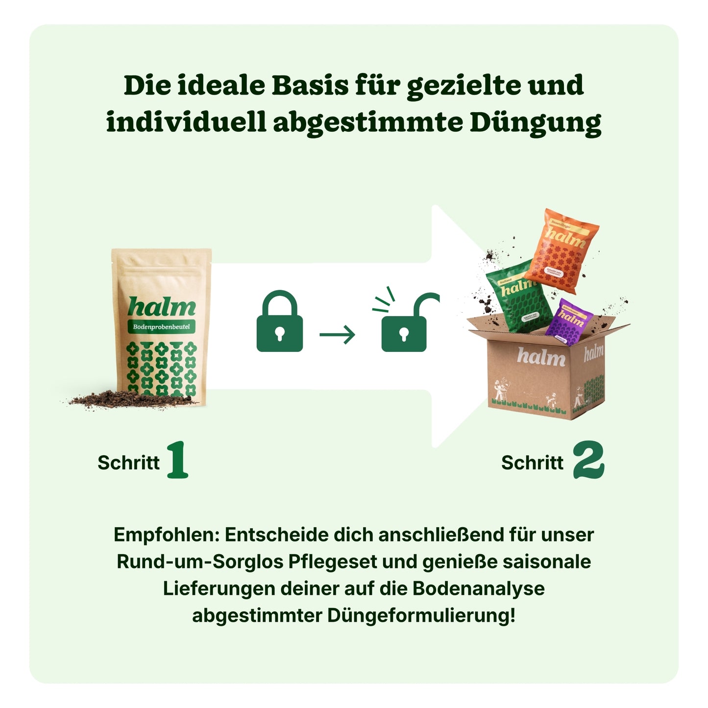 Halm Bodenanalyse