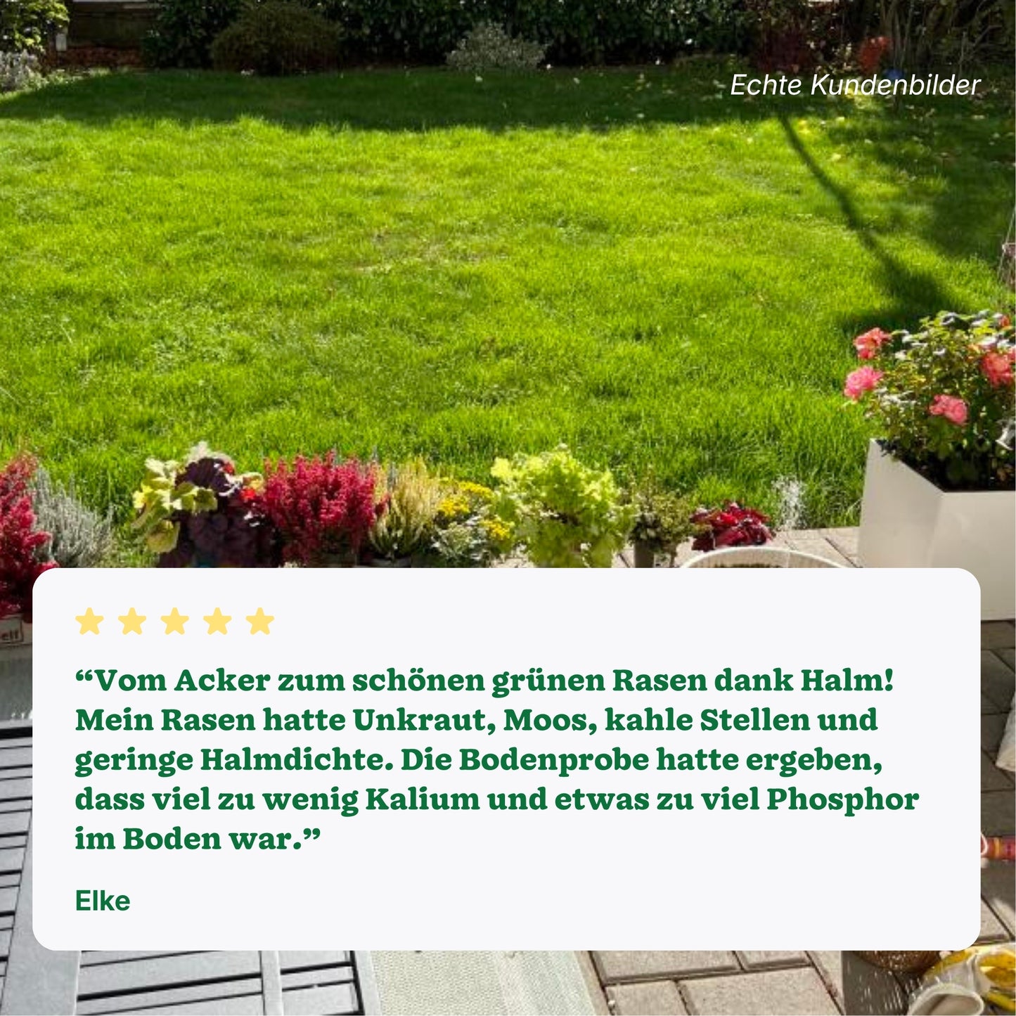 Halm Bodenanalyse