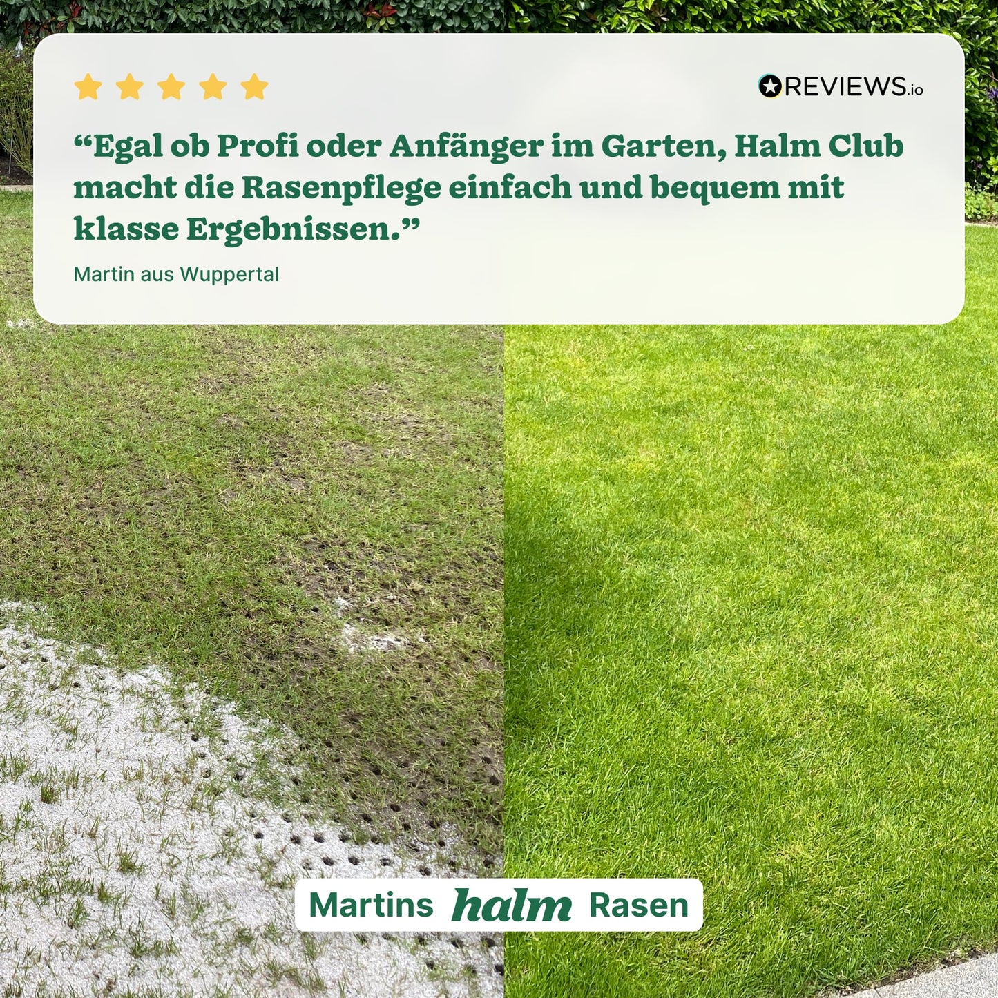 Bodenverbesserer "Bodenkraft"