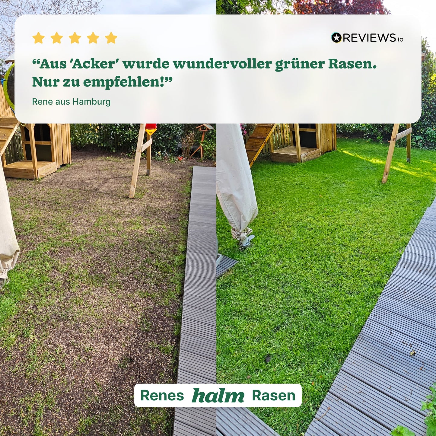 Frühjahrs-Bundle "Reparieren & Wachsen Bio"