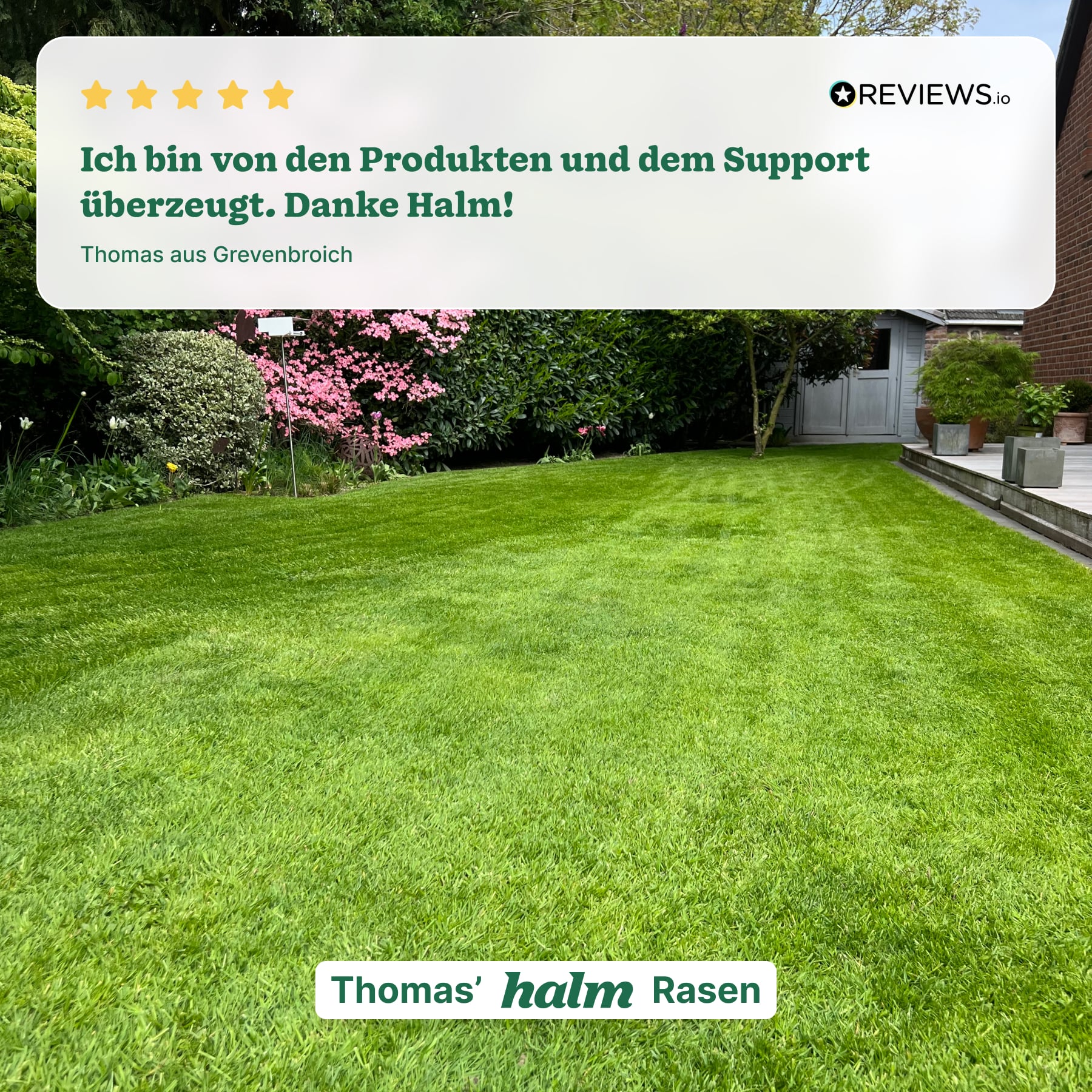Halm Wetting Agent
