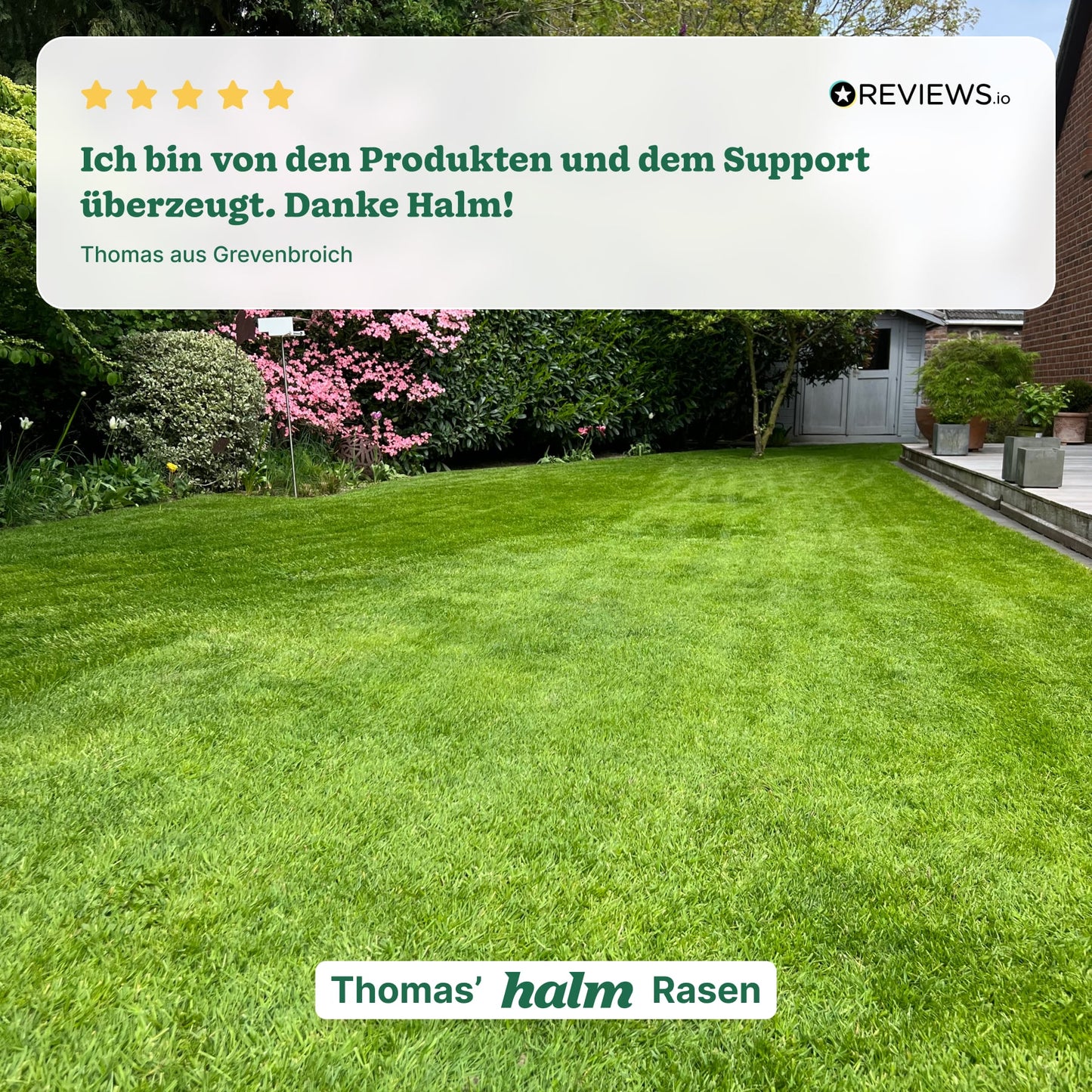Halm Wetting Agent