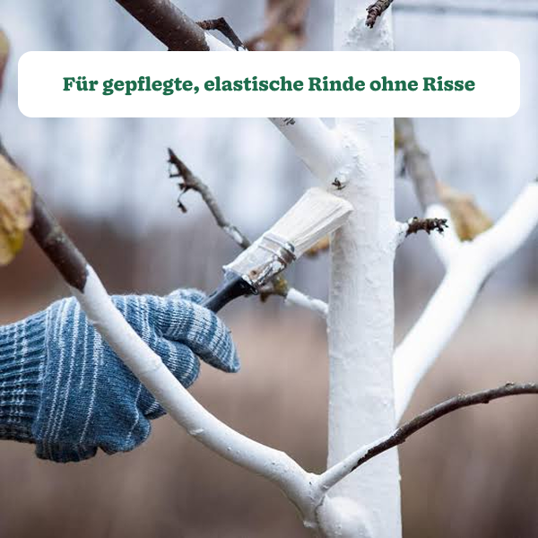 Substral Naturen Weißanstrich