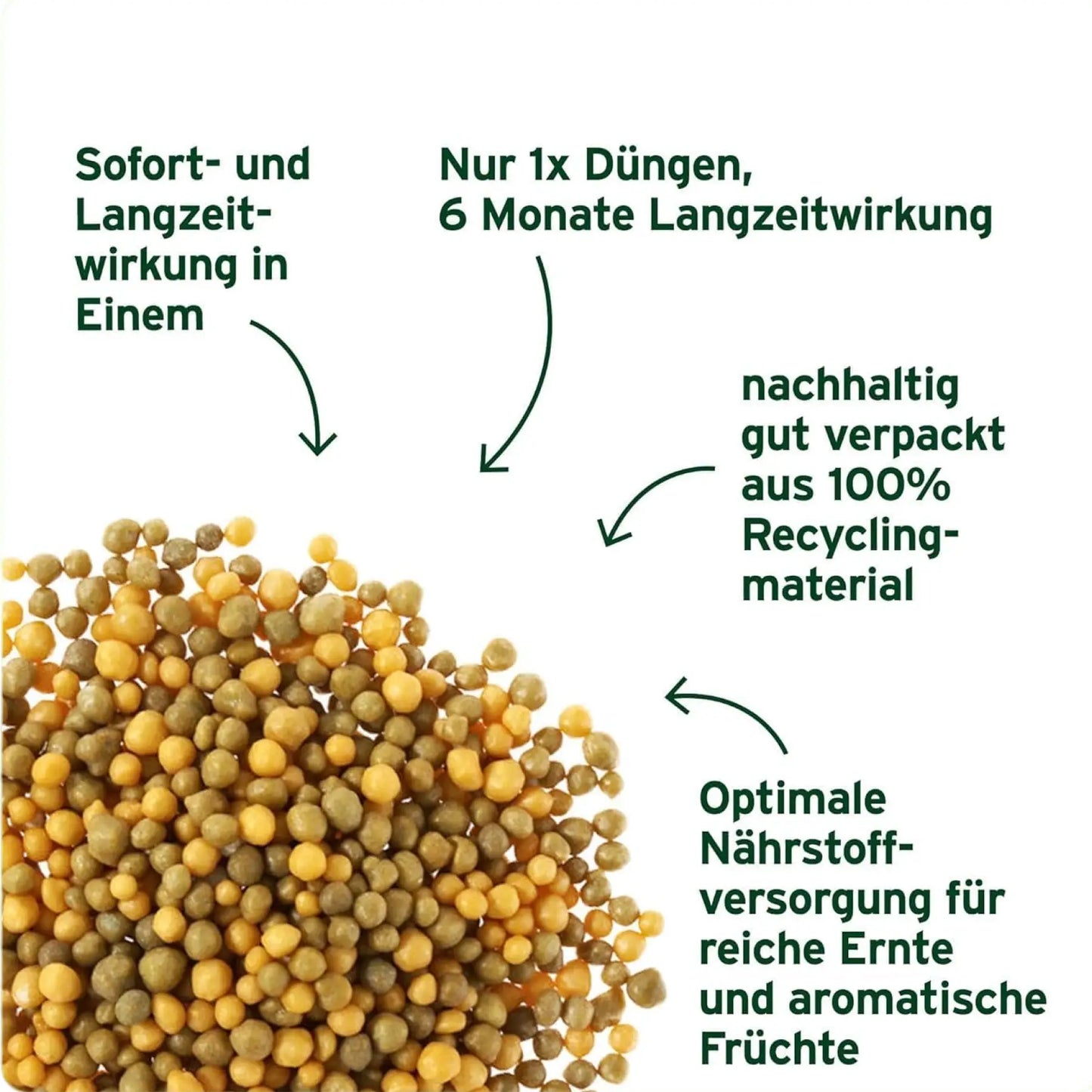 Substral Langzeit Depotdünger Obst & Gemüse