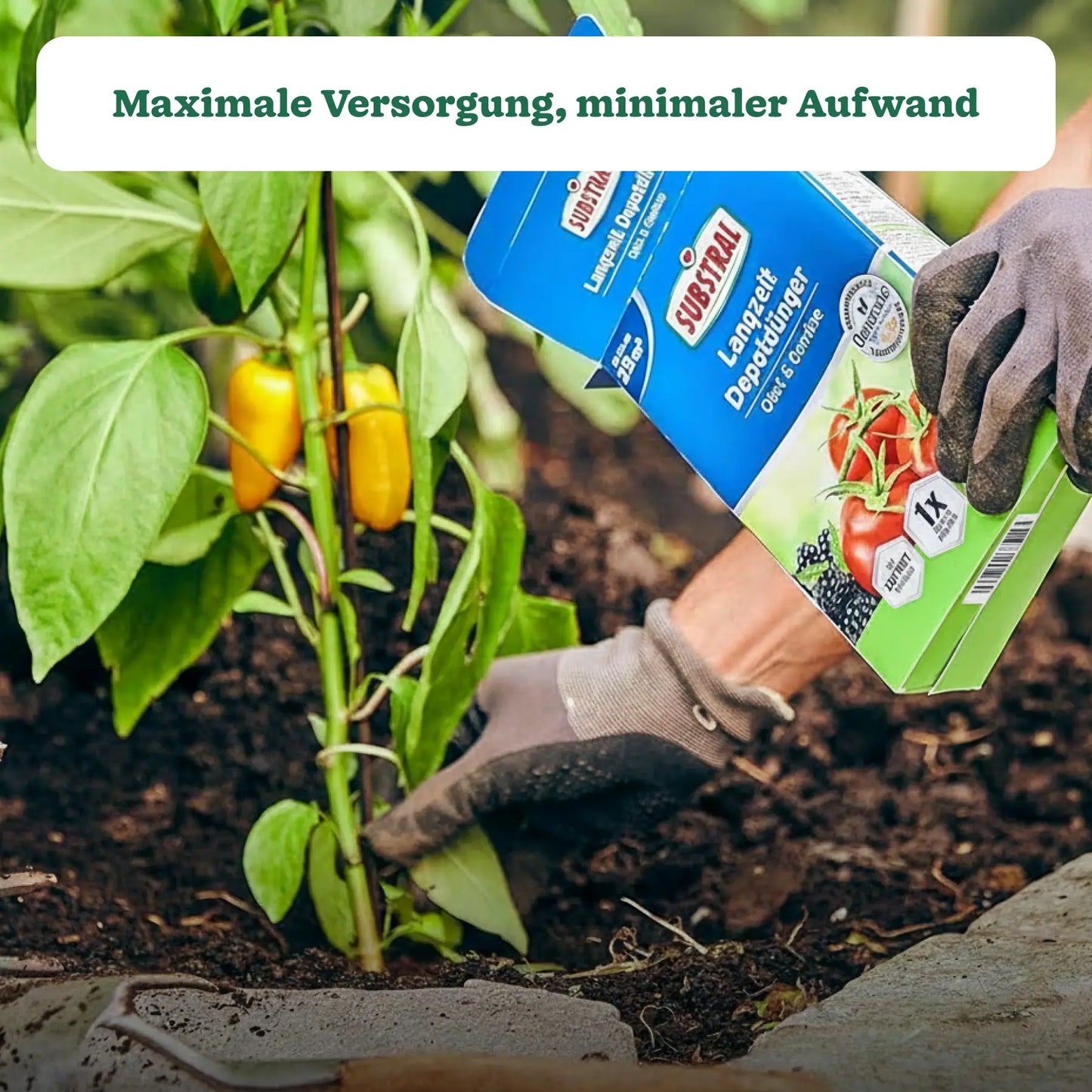 Substral Langzeit Depotdünger Obst & Gemüse