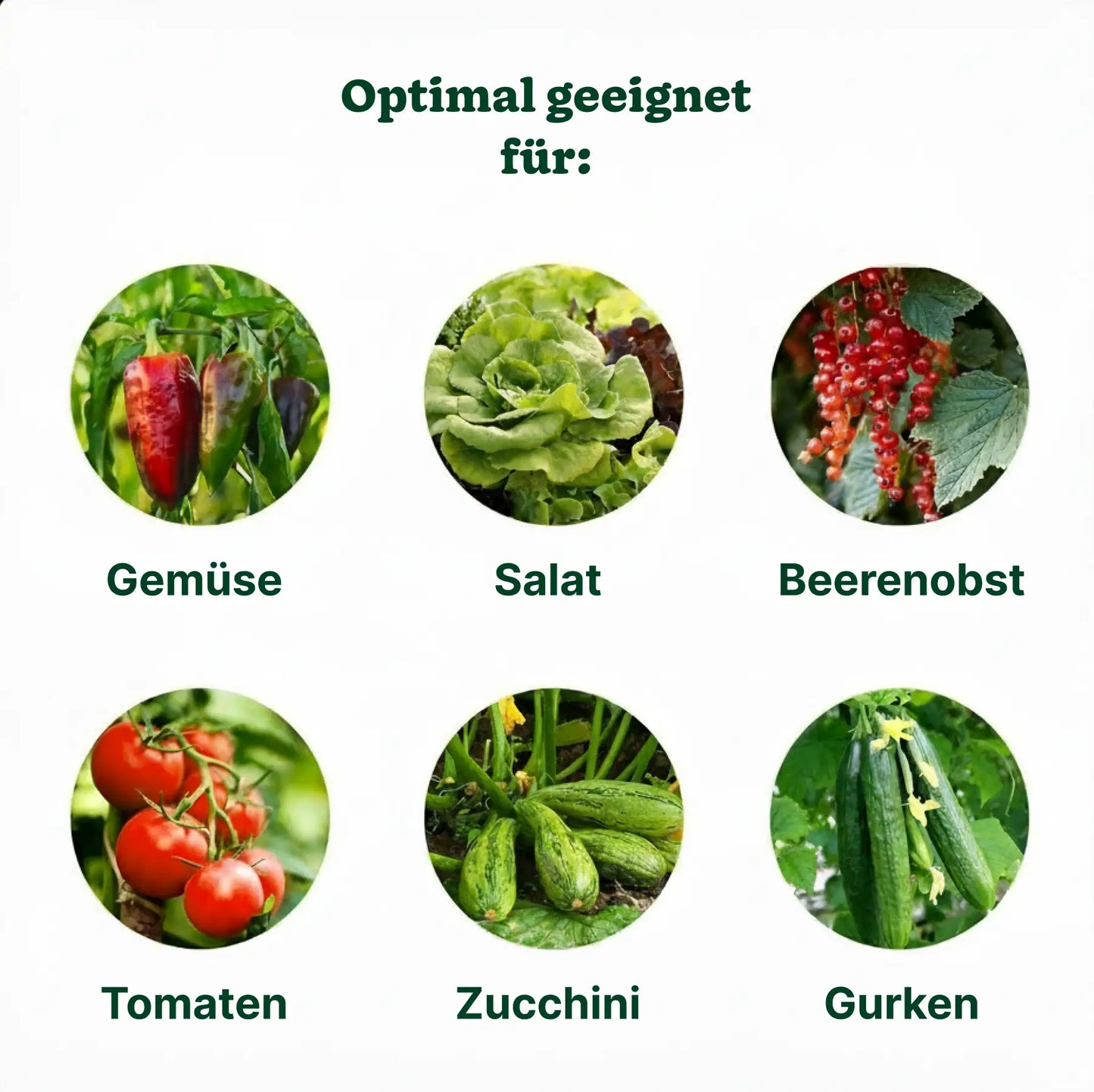 Substral Langzeit Depotdünger Obst & Gemüse