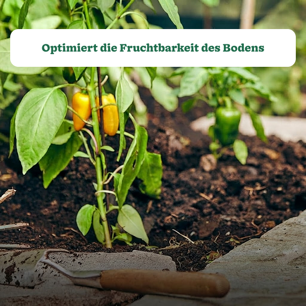 Substral Naturen Urgesteinsmehl