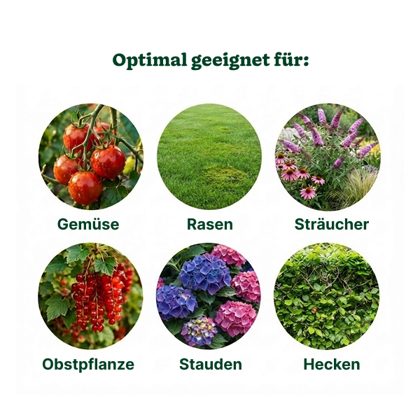 Substral Naturen Hornspäne