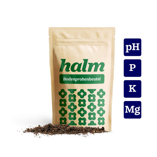 Halm Bodenanalyse