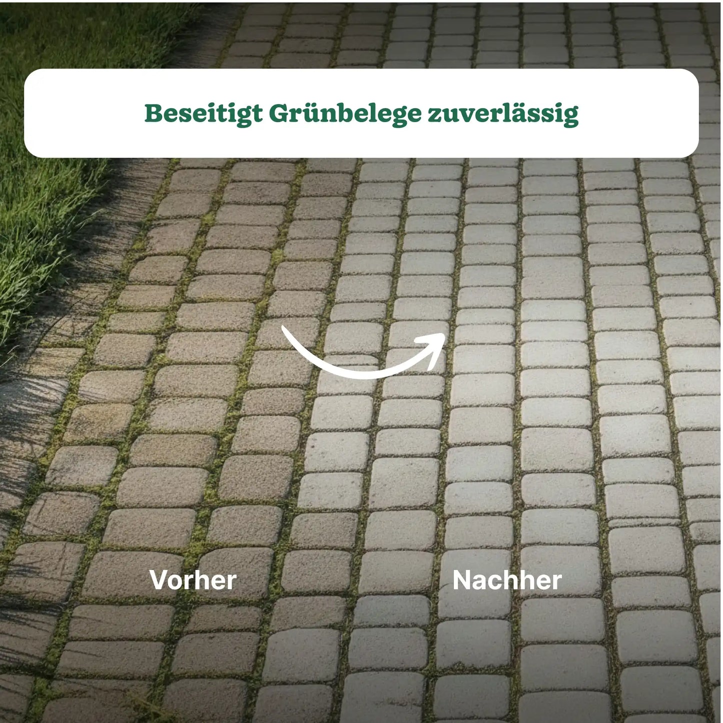 Roundup Wege & Terrassen Spray