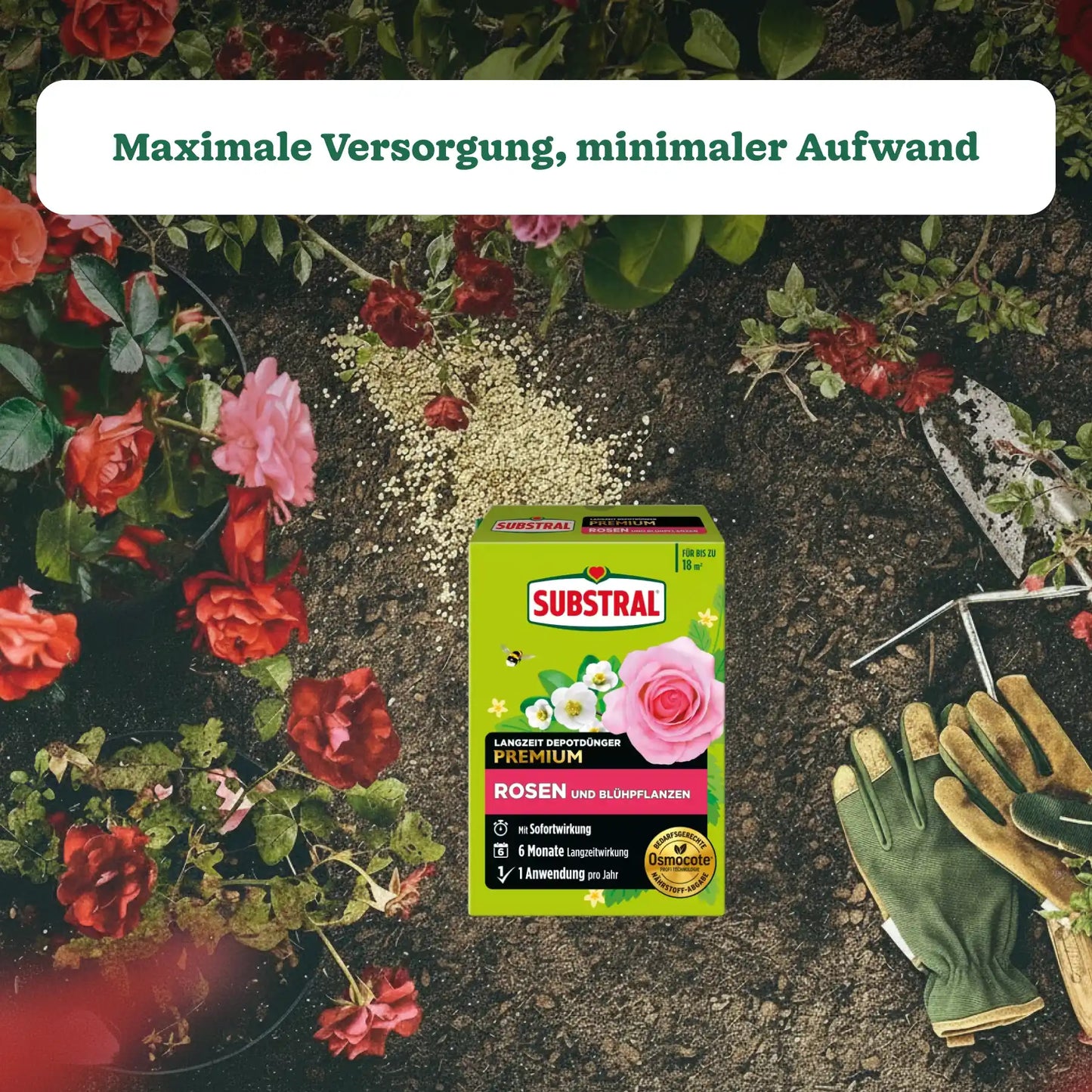 Substral Langzeit Depotdünger Rosen & Blühpflanzen