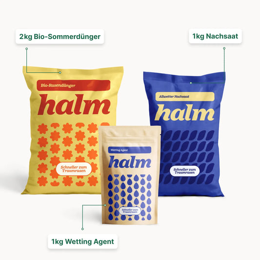 Sommer-Bundle "Stärken & Schützen Bio"