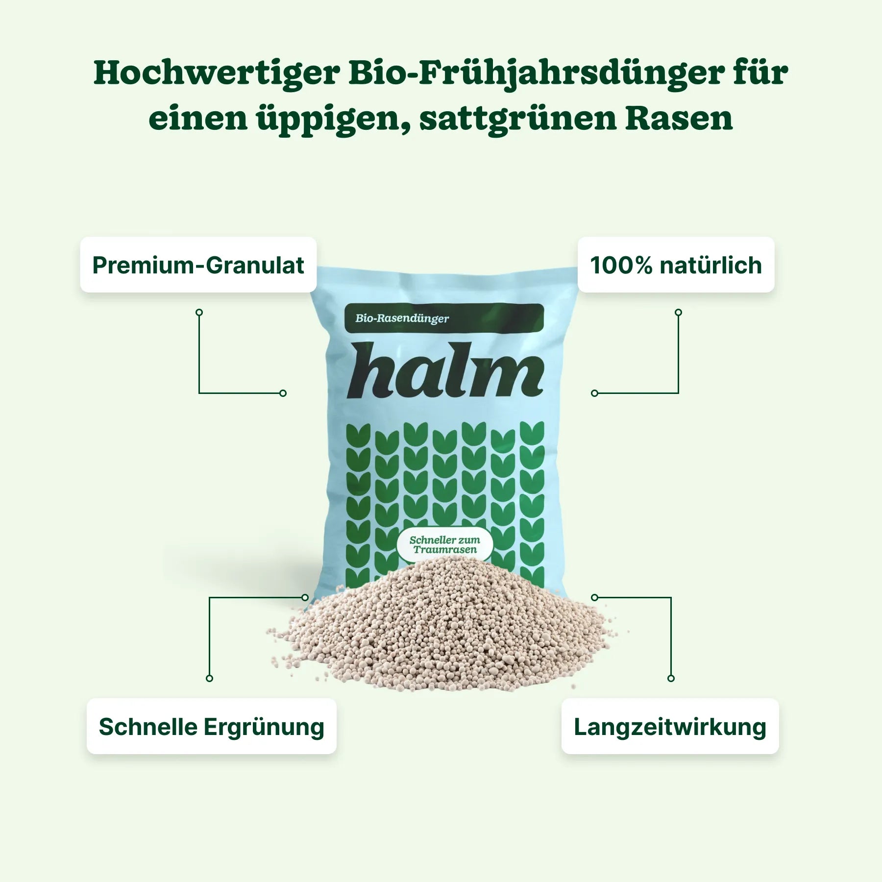 Frühjahrs-Bundle 