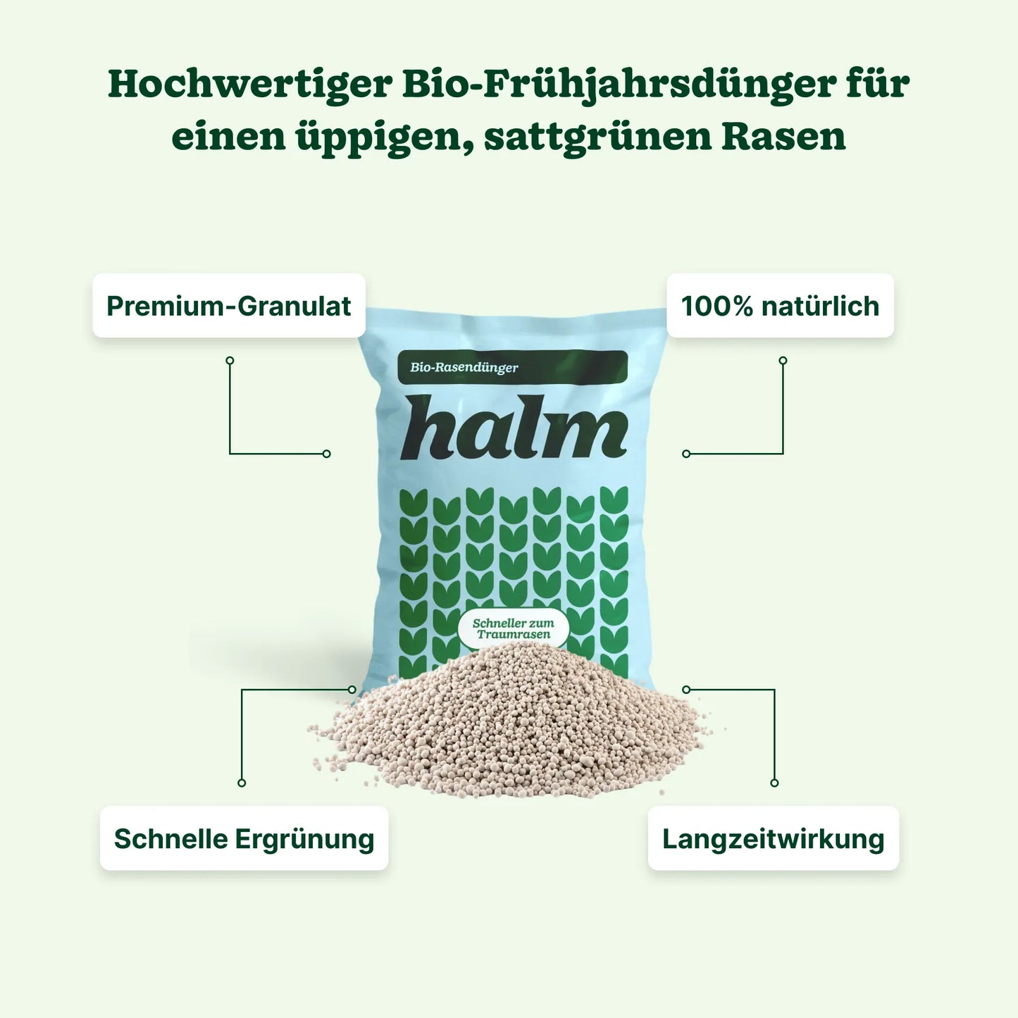 Frühjahrs-Bundle "Reparieren & Wachsen Bio"