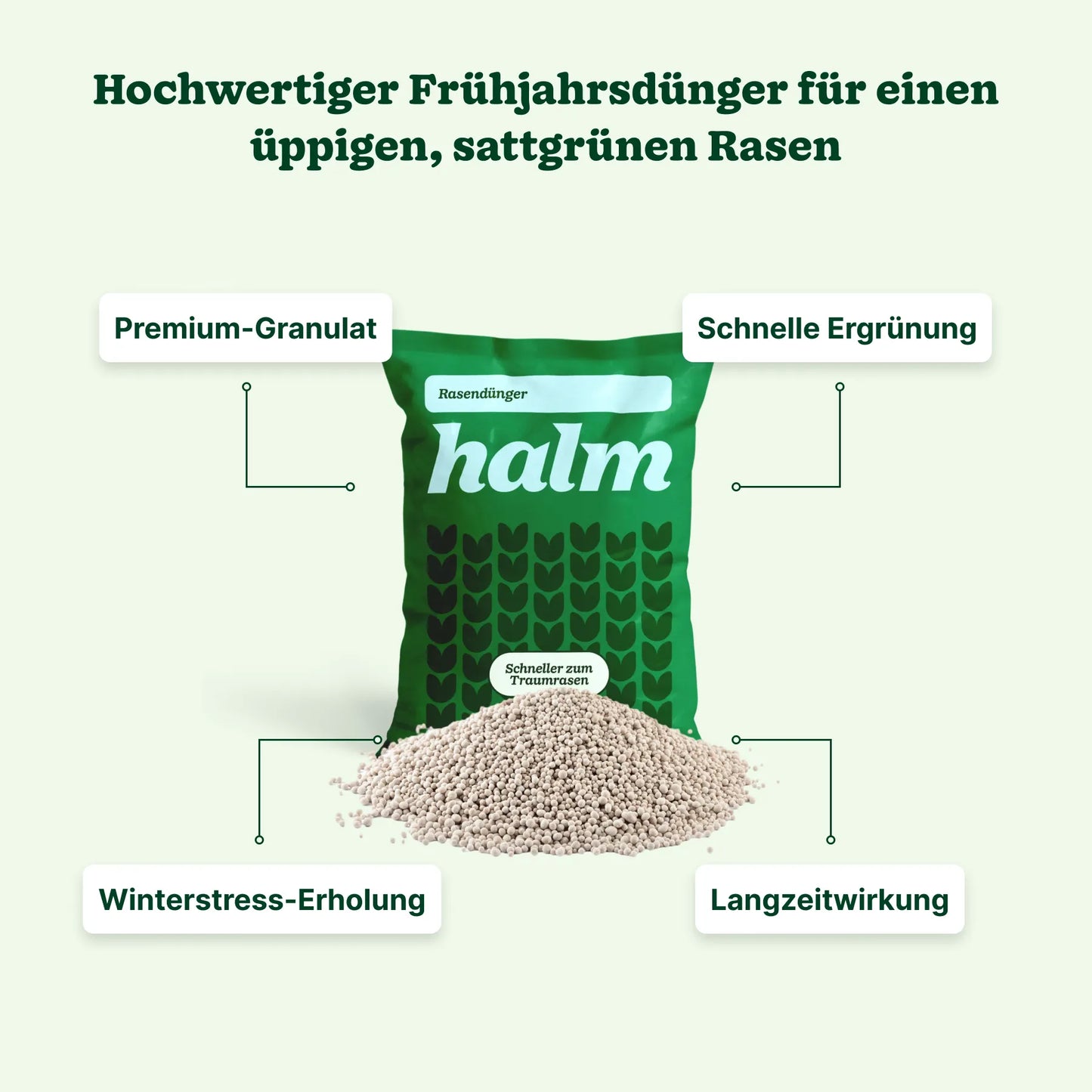 Frühjahrs-Bundle "Reparieren & Wachsen"