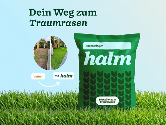 Abgestimmter Dünger