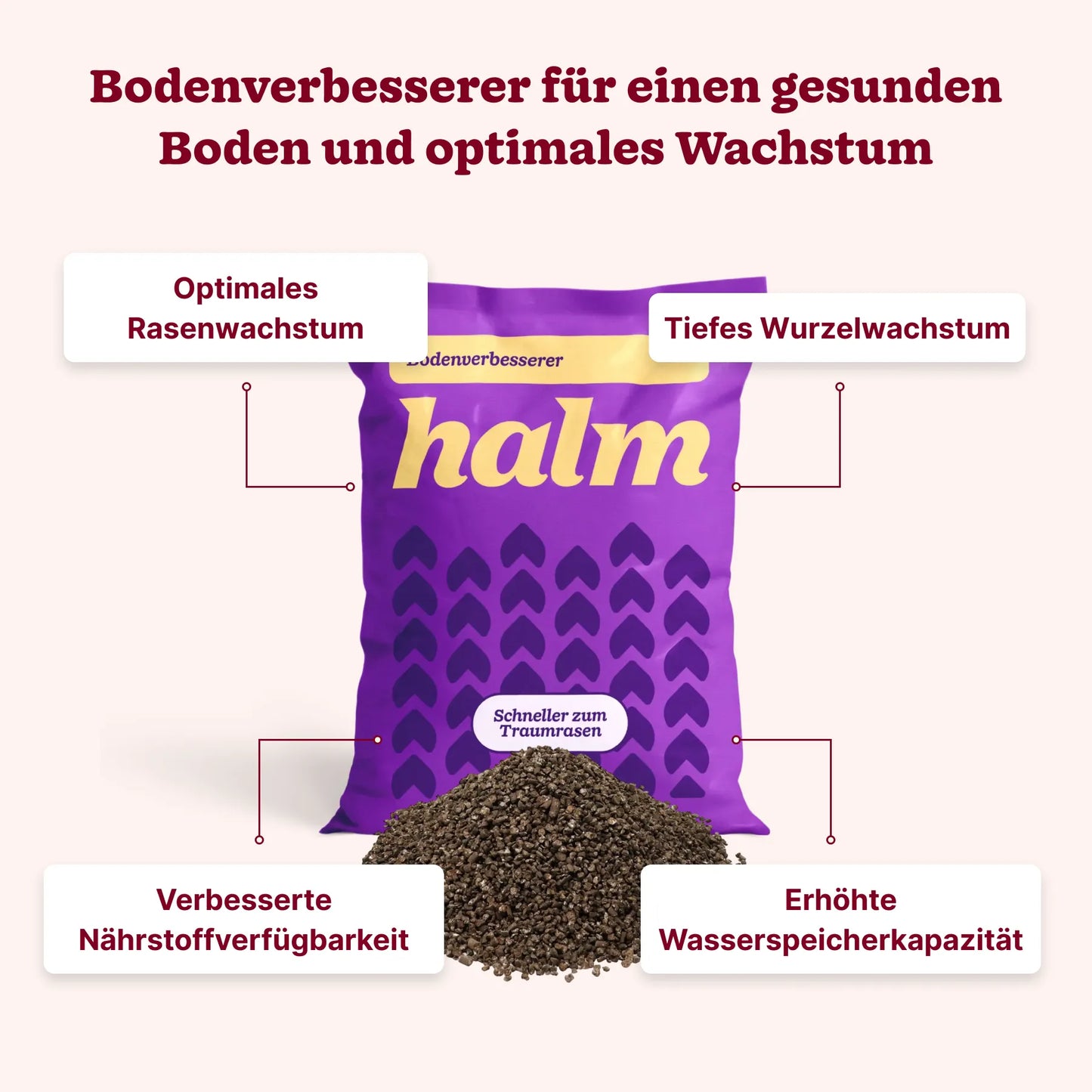 Frühjahrs-Bundle "Stärken & Schützen Bio"