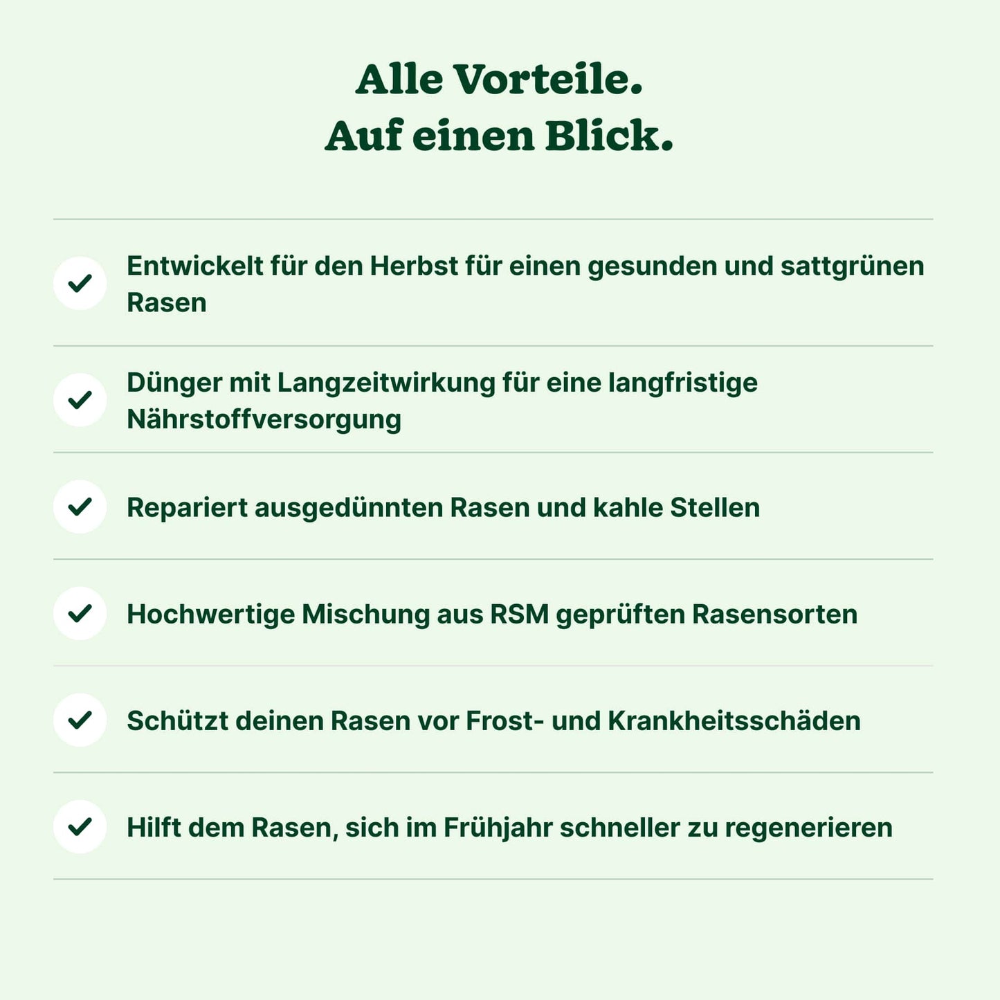 Herbst-Bundle "Reparieren & Wachsen"