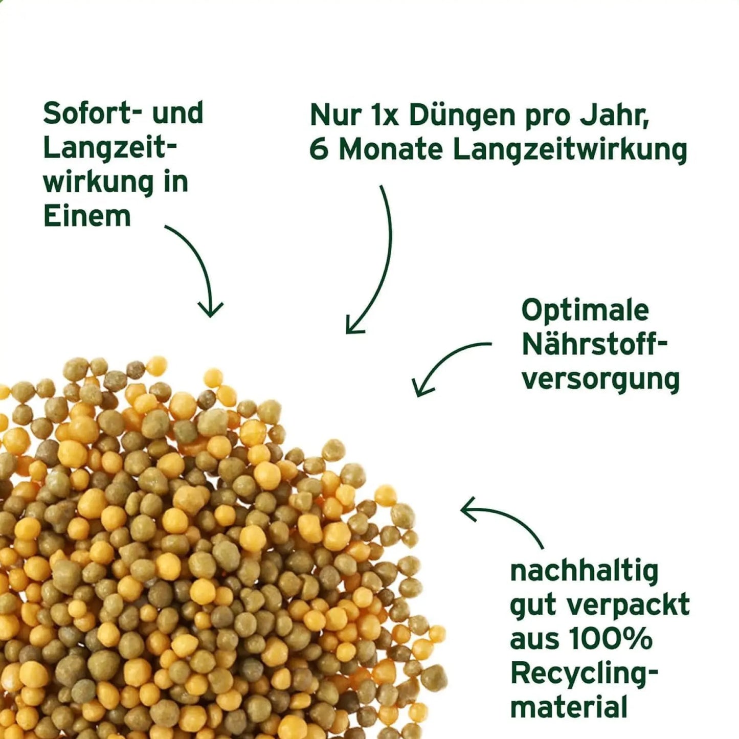 Substral Langzeit Depotdünger Rosen & Blühpflanzen