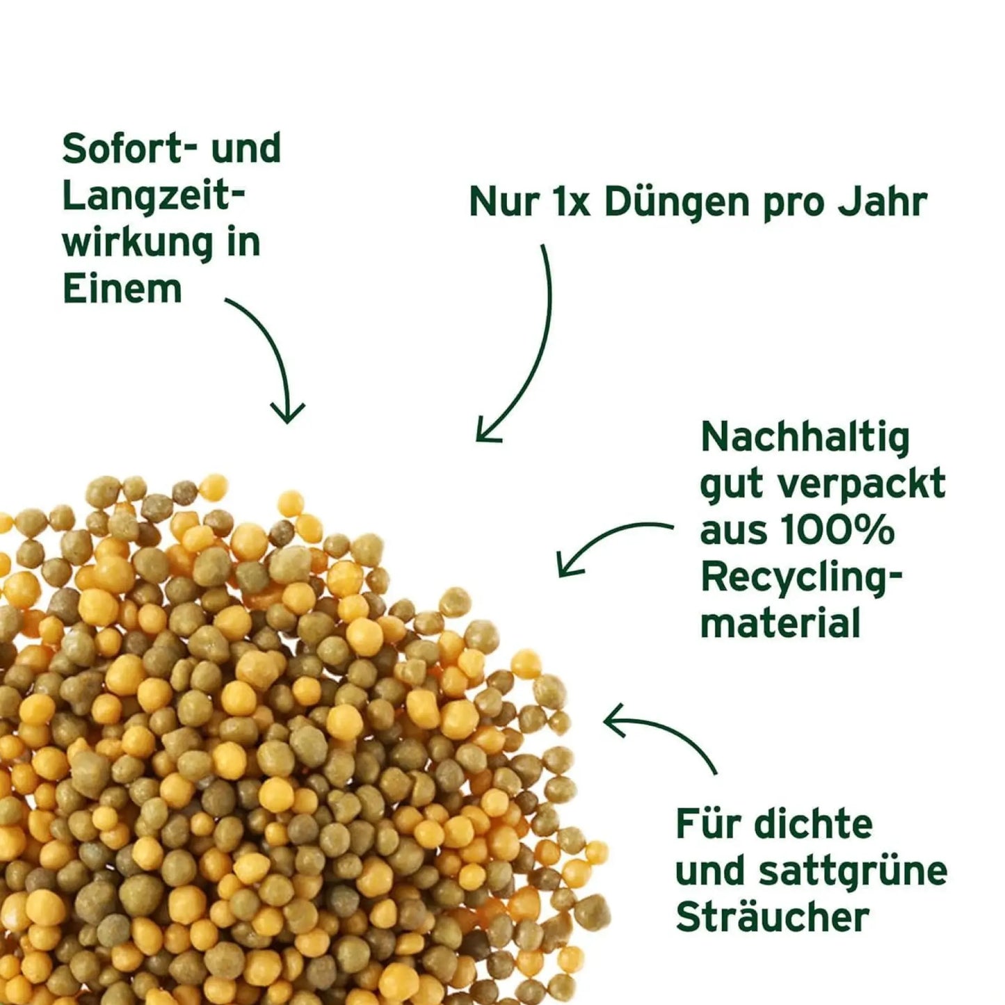 Substral Langzeit Depotdünger Bäume, Sträucher & Hecken