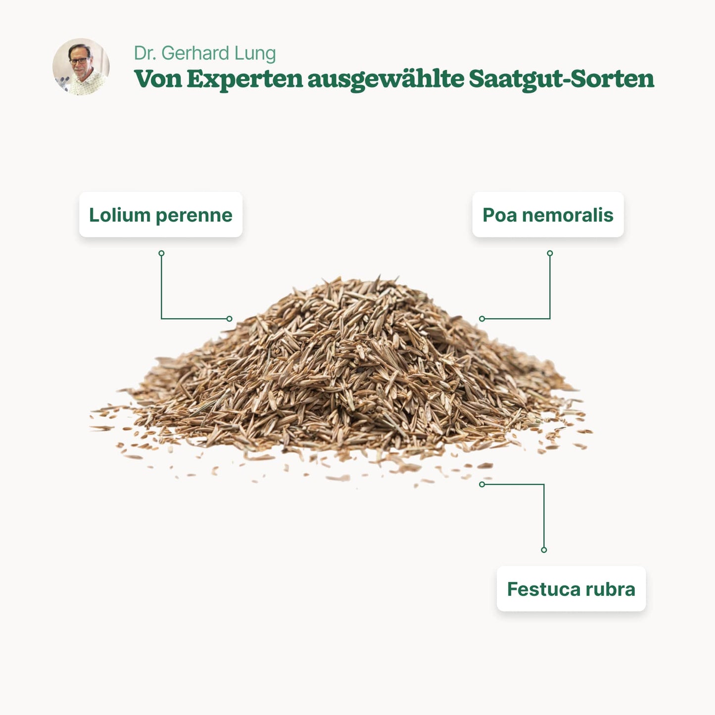 Nachsaat "Allwetter Füllsaat"