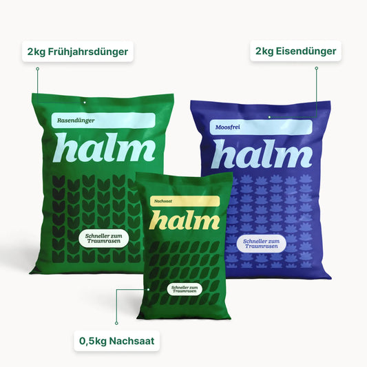 Frühjahrs-Bundle "Moosfrei"