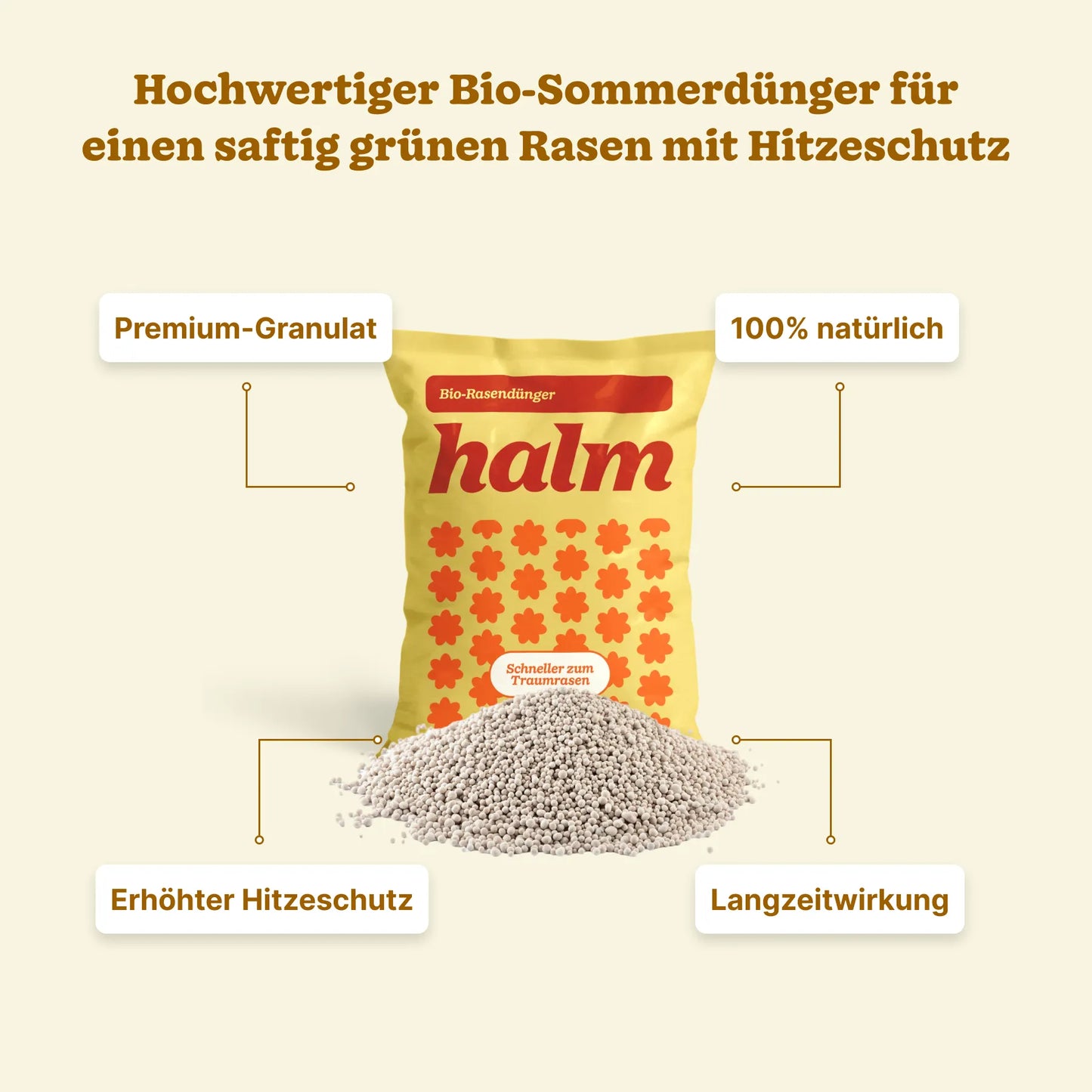 Sommer-Bundle "Stärken & Schützen Bio"