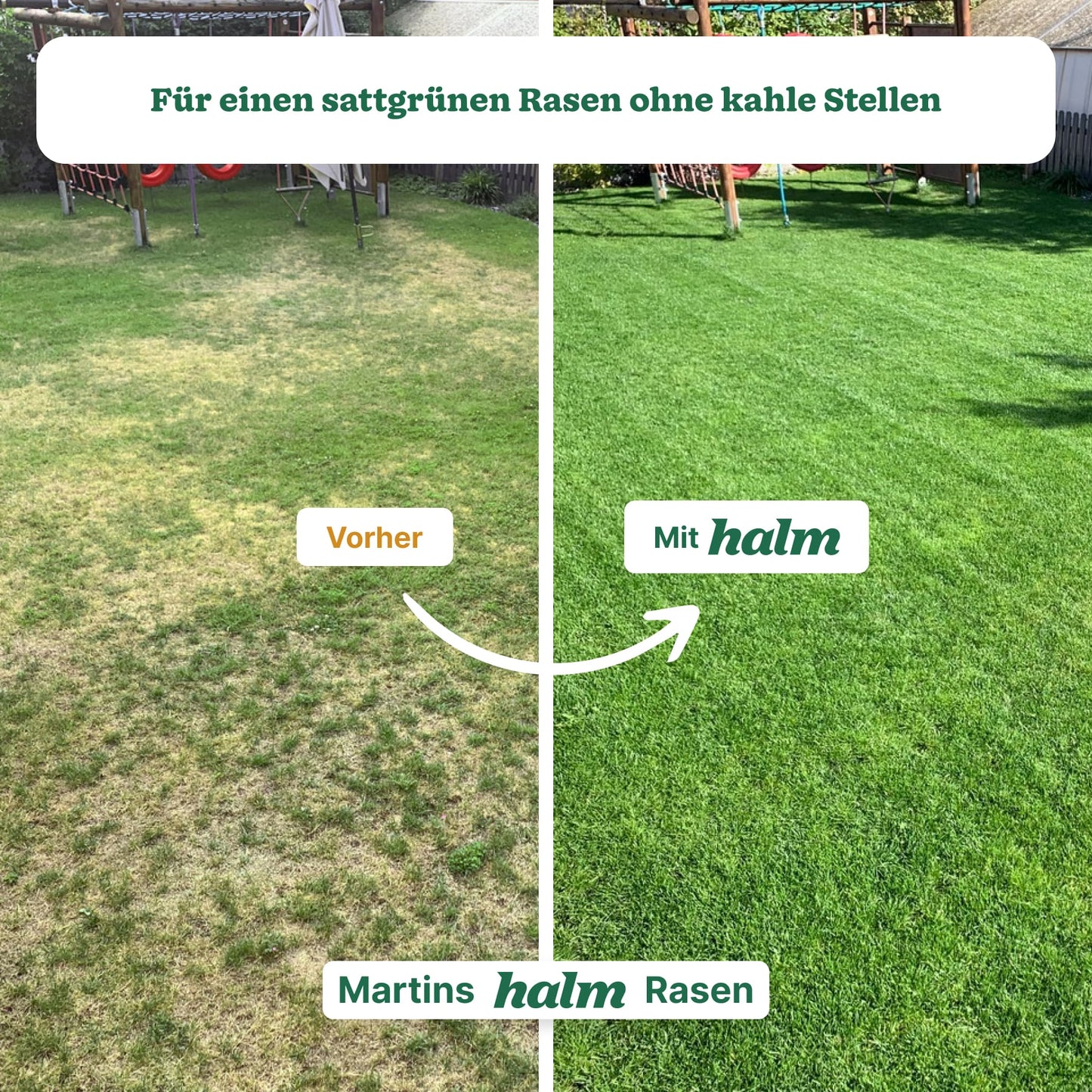 Frühjahrs-Bundle "Reparieren & Wachsen Bio"