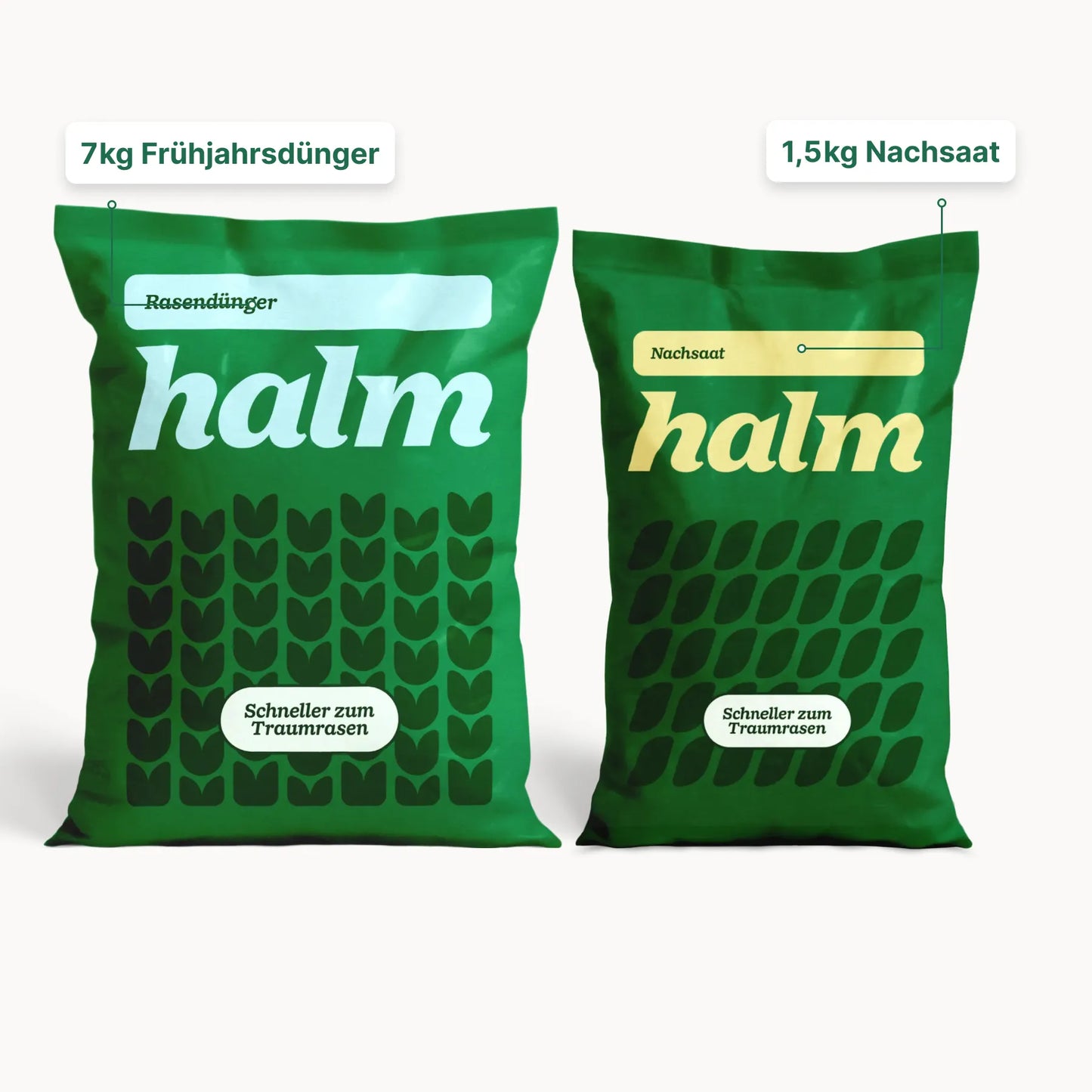 Frühjahrs-Bundle "Reparieren & Wachsen"