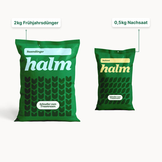 Frühjahrs-Bundle "Reparieren & Wachsen"