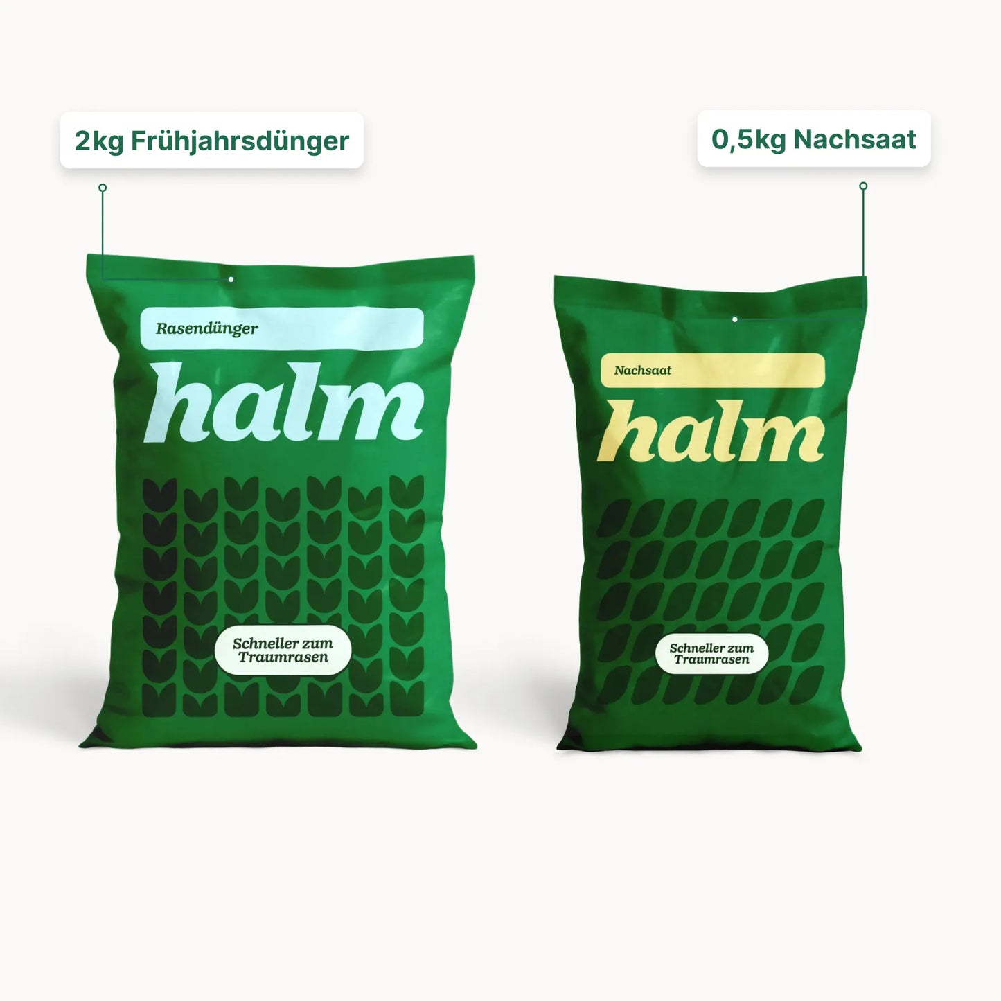 Frühjahrs-Bundle "Reparieren & Wachsen"