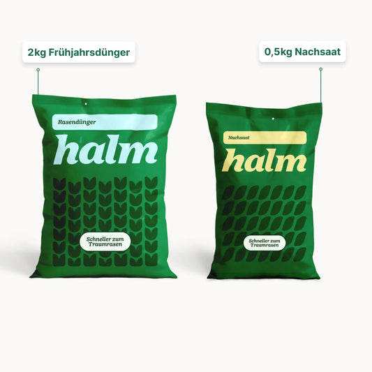 Frühjahrs-Bundle "Reparieren & Wachsen"