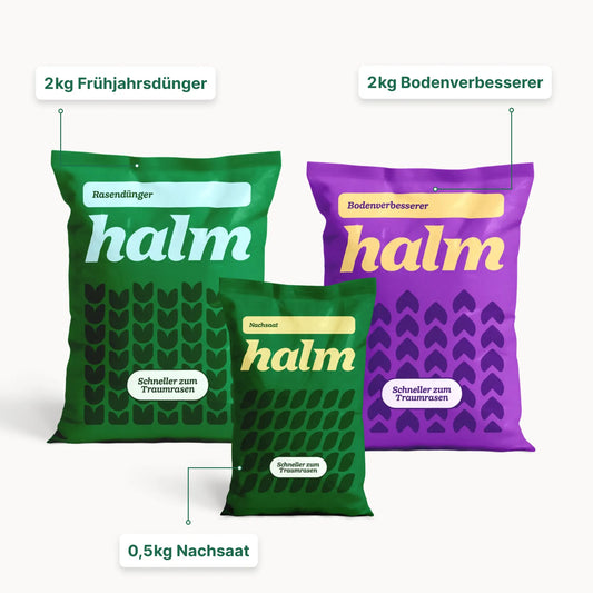 Frühjahrs-Bundle "Stärken & Schützen"