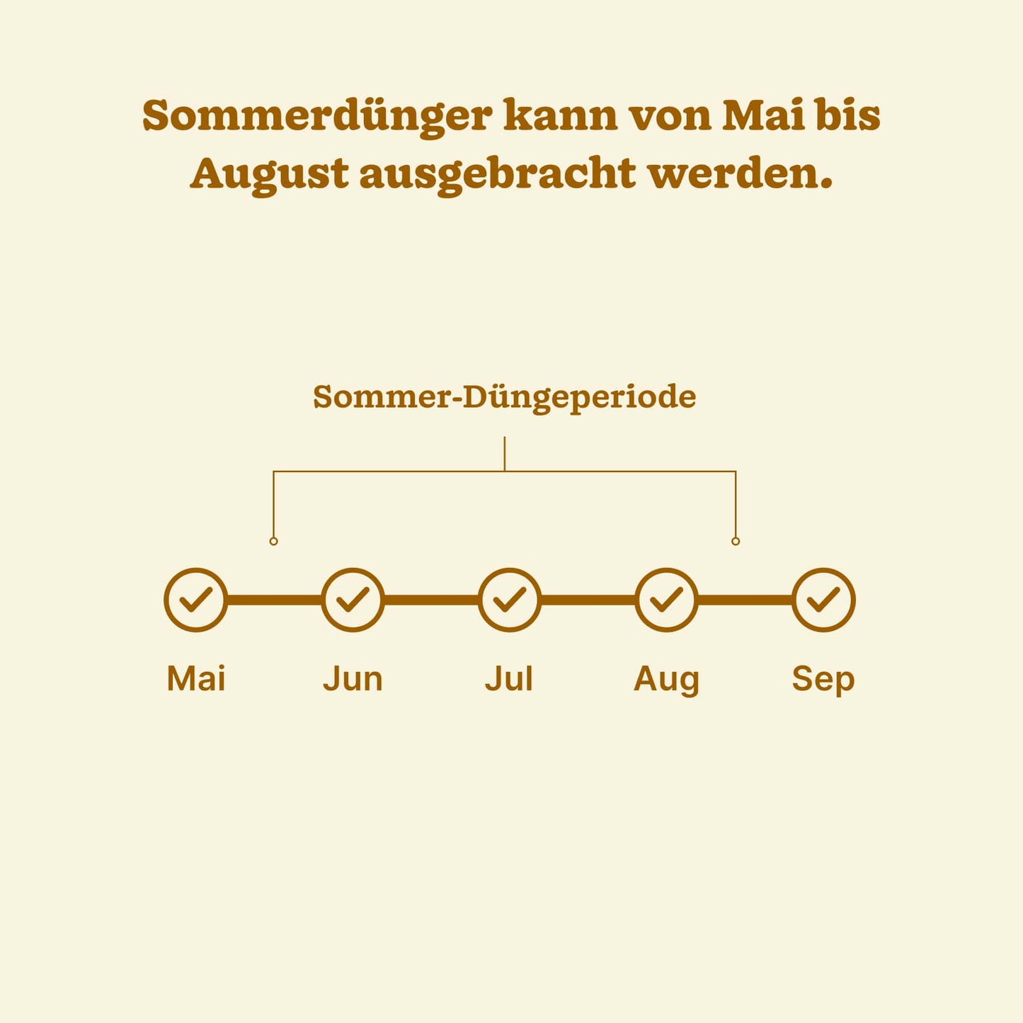 Sommer-Bundle "Reparatur Bio"